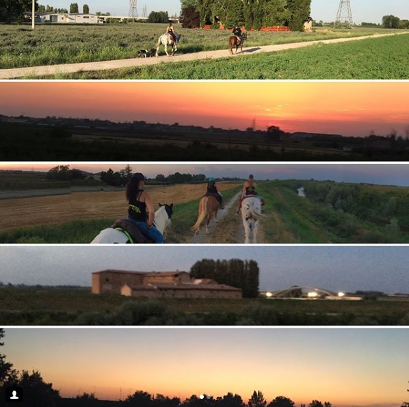 home [wildranch.webnode.it]